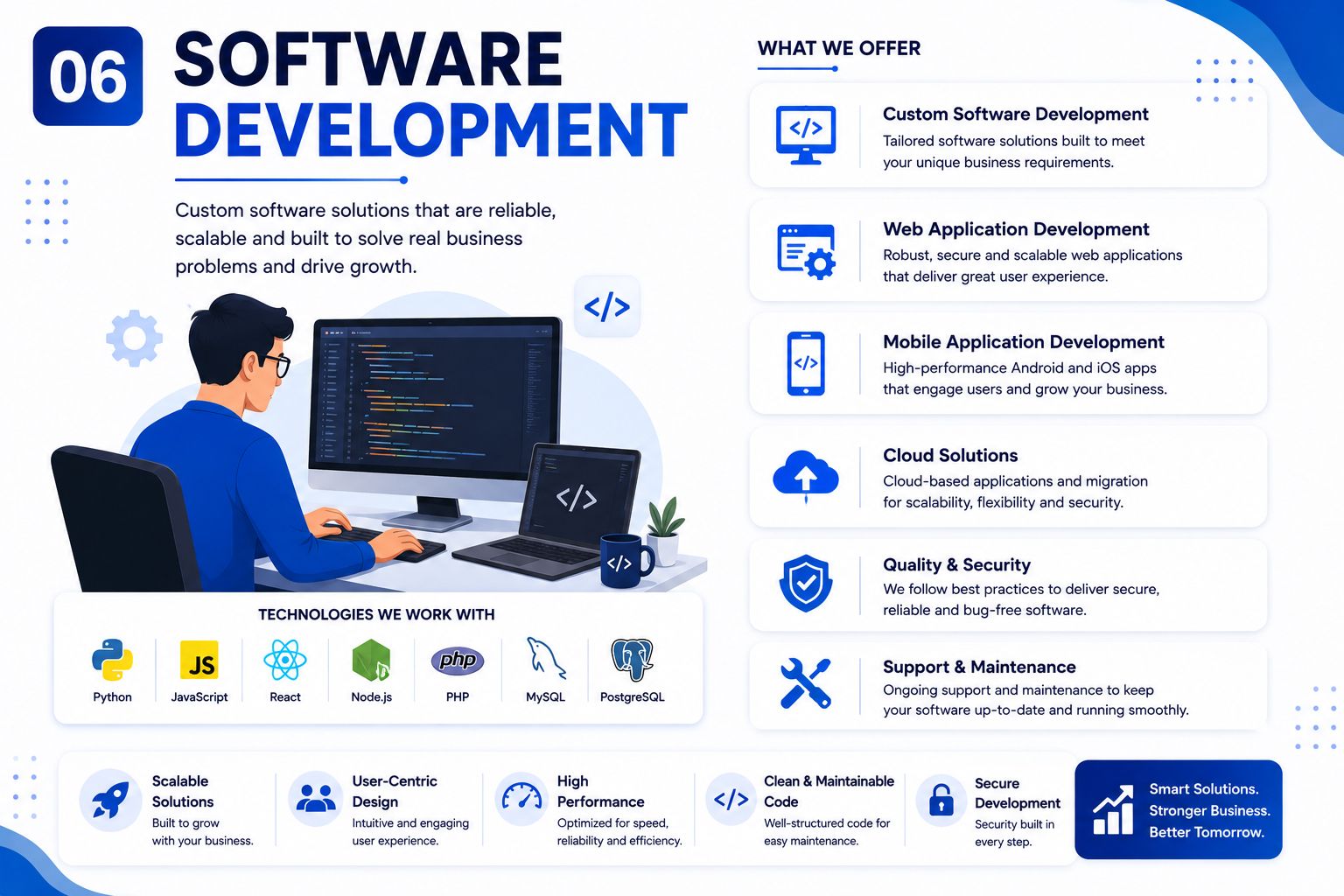 Software Development Infographic Preview